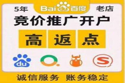 百度搜索结果优化：SEO推广的经典案例